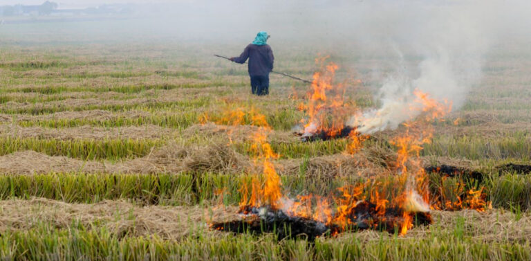 BUDAUN NEWS: पराली जलाने व बिना सिस्टम के कम्बाईन का उपयोग करने पर होगी कार्रवाई