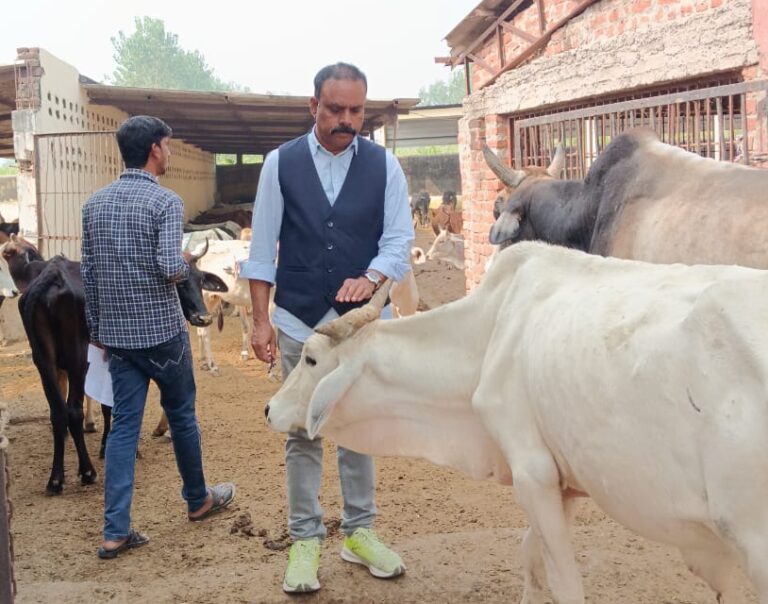 पिलिभीत में गौर धाम परिवार की अनोखी पहल – गौशाला में गायों के लिए पक्का फर्श और चरनी का निर्माण