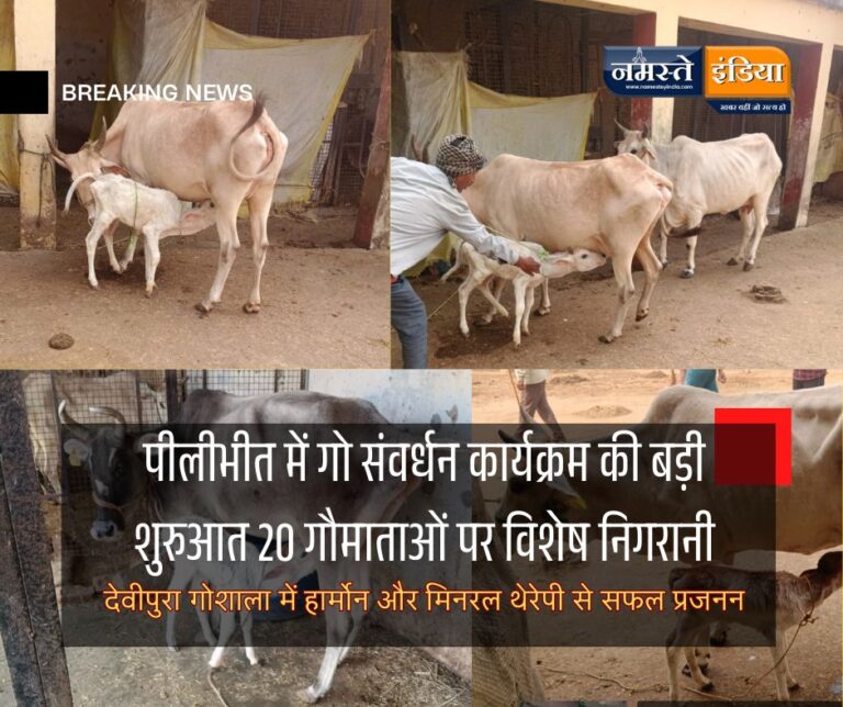 PILIBHIT: मुख्यमंत्री योगी की महत्वाकांक्षी गौ संरक्षण योजना को पीलीभीत में नई गति