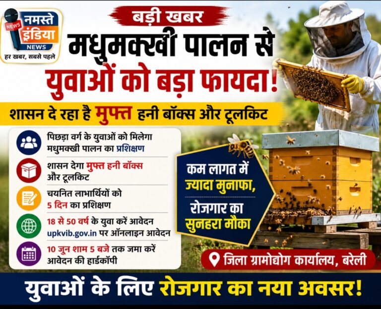 पालन से युवाओं को मिलेगा रोजगार, शासन देगा मुफ्त हनी बॉक्स और टूलकिट